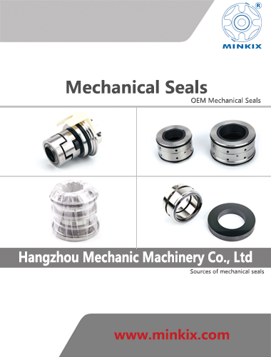 Cusomized Mechanical Seal